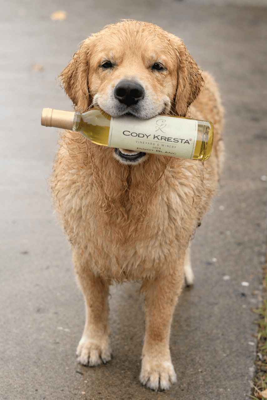 C5F481C4-2B6E-4234-A205-C97ECA9A4DD0